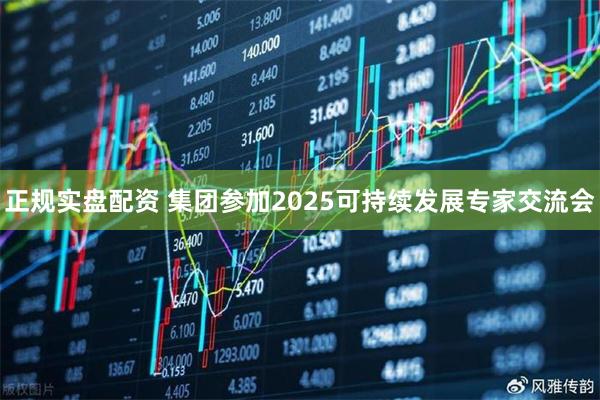 正规实盘配资 集团参加2025可持续发展专家交流会